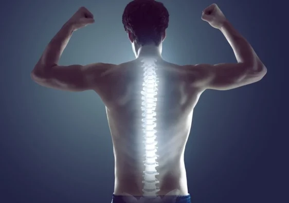 Menjaga Kesehatan Tulang Untuk Menghindari Osteoporosis