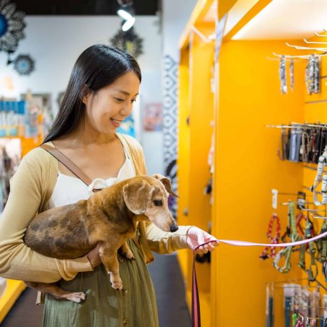 Contoh Pelayanan Bisnis yang Memuaskan Pelanggan