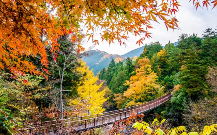 Wisata Alam Menakjubkan Di Tokyo Yang Harus Di Kunjungi
